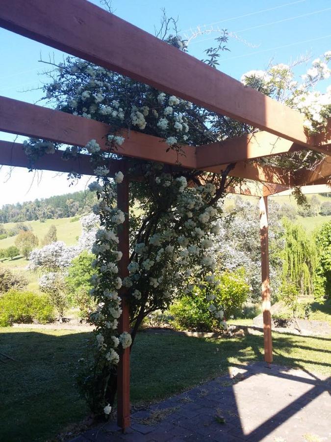 Rosewhite House Acomodação com café da manhã Myrtleford Exterior foto